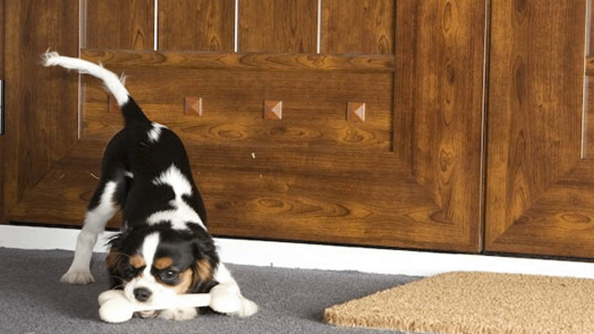 MU2700 Designer Doors