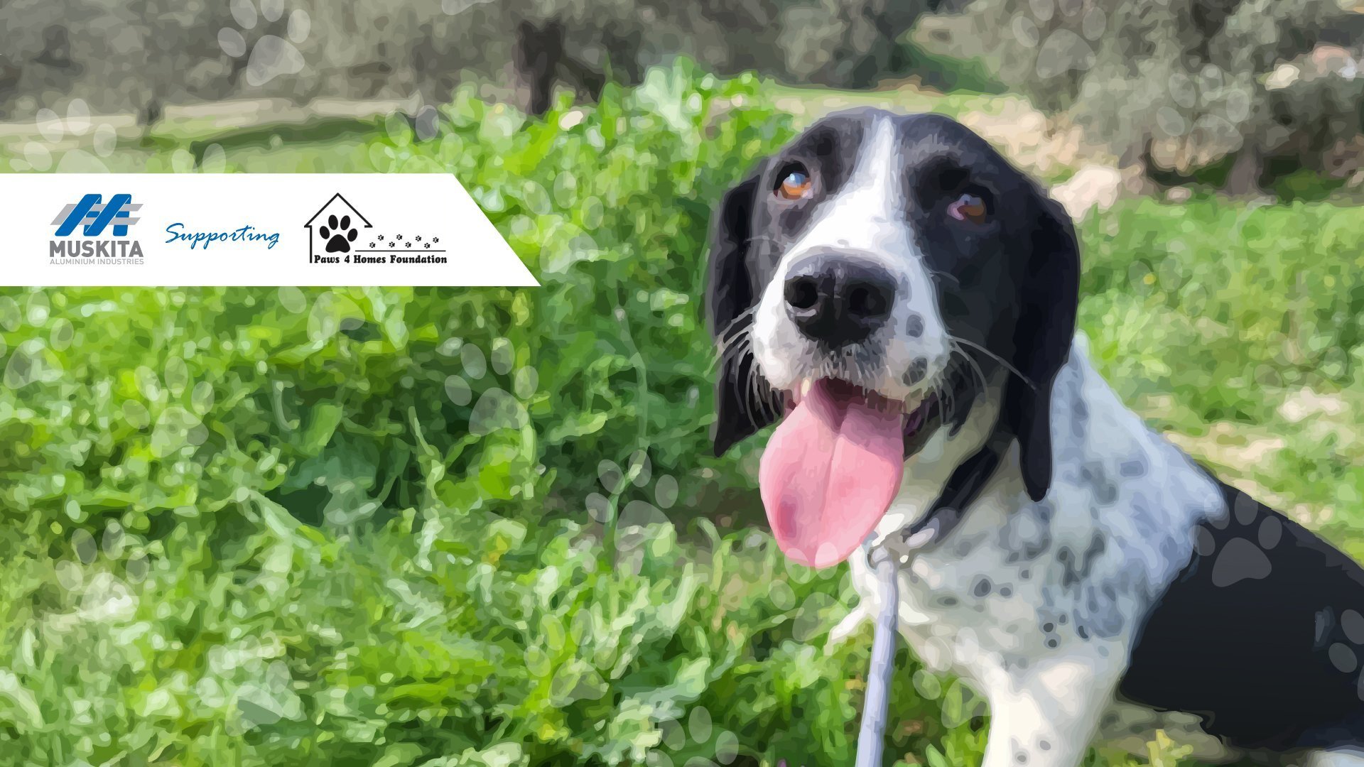 MUSKITA Supports Paws for Homes Foundation