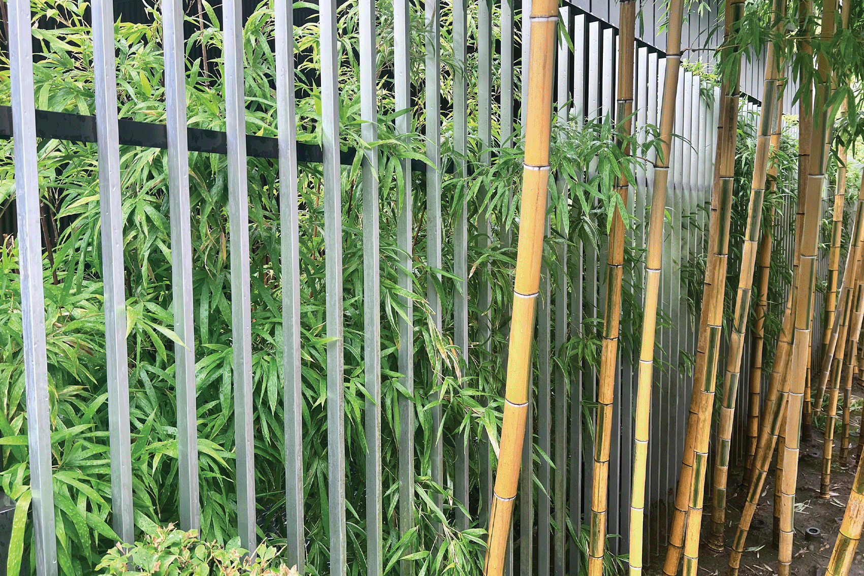 Fences with Standard & Louvre Profiles