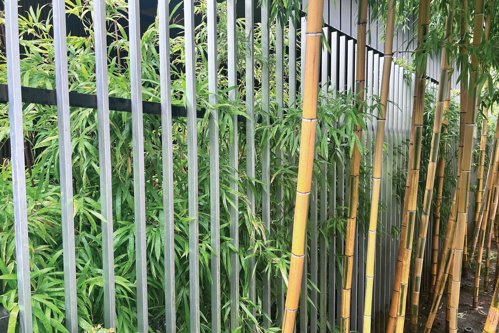 Fences with Standard & Louvre Profiles