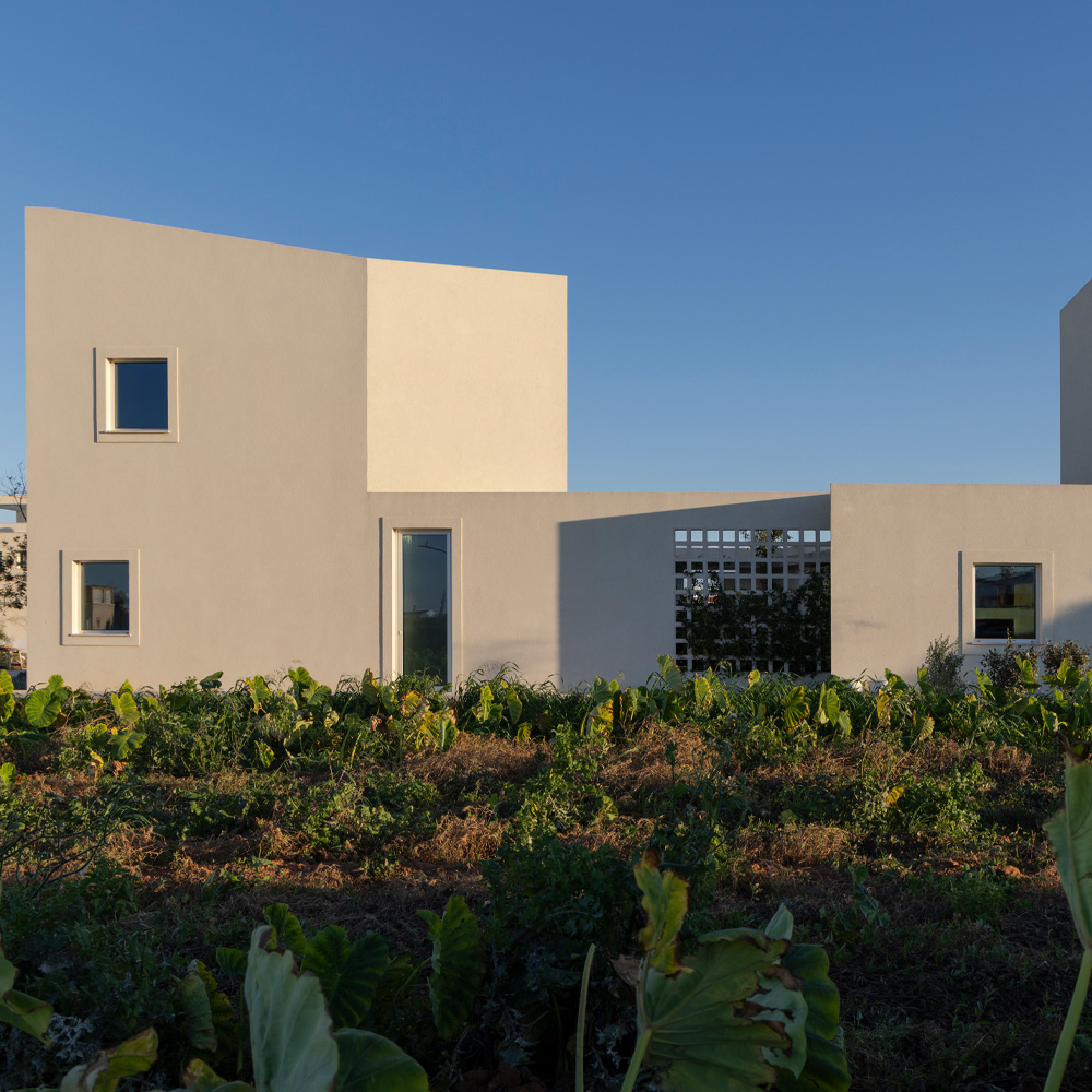 The Avlí Houses